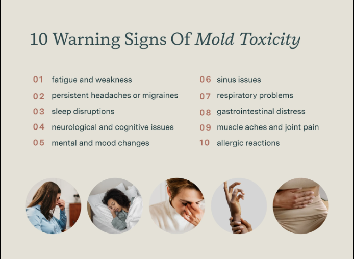 Screenshot 2024-12-10 173444